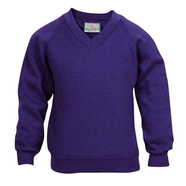 School V-Neck Sweatshirt