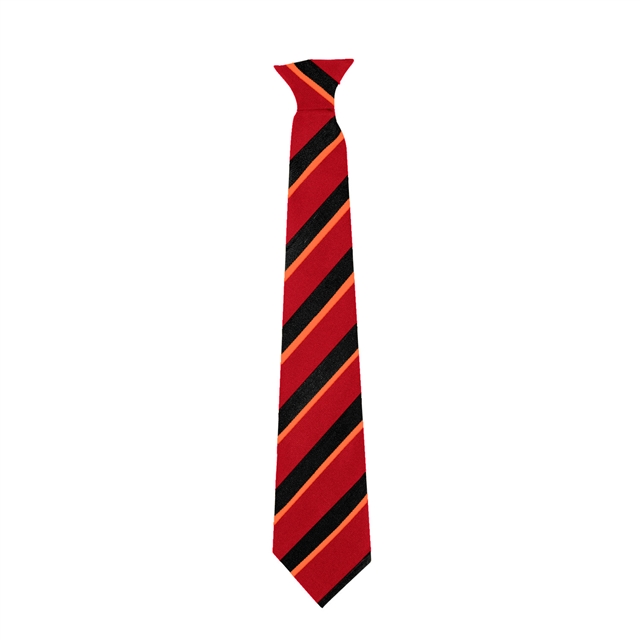 Alcester Grammar School Willow House Tie- Orange