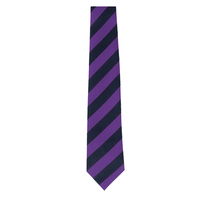 Dover Christ Church Academy Tempest House Tie 