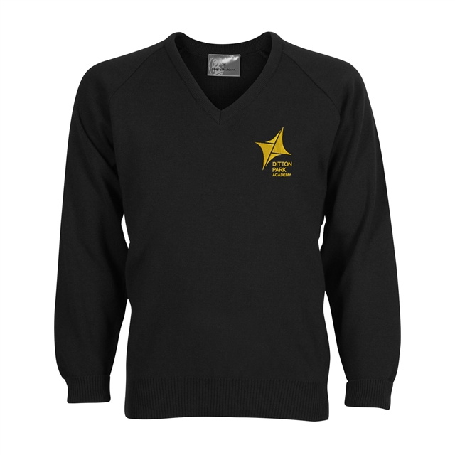 Ditton Park Academy V Neck Sweater