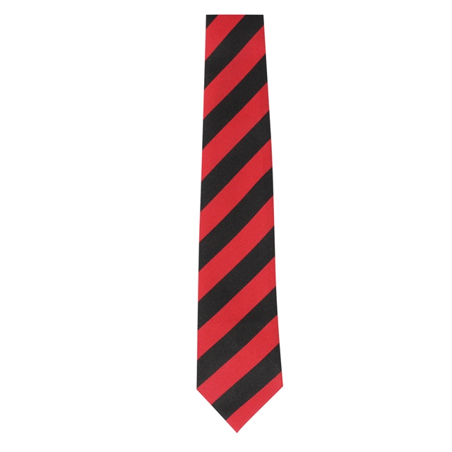 Ely College Scott House Tie