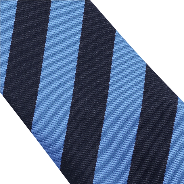 Sevenoaks Primary School Tie