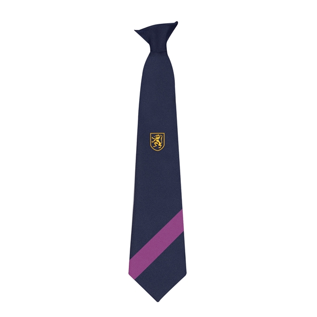 Rainhill High School Stephenson House Tie - Purple