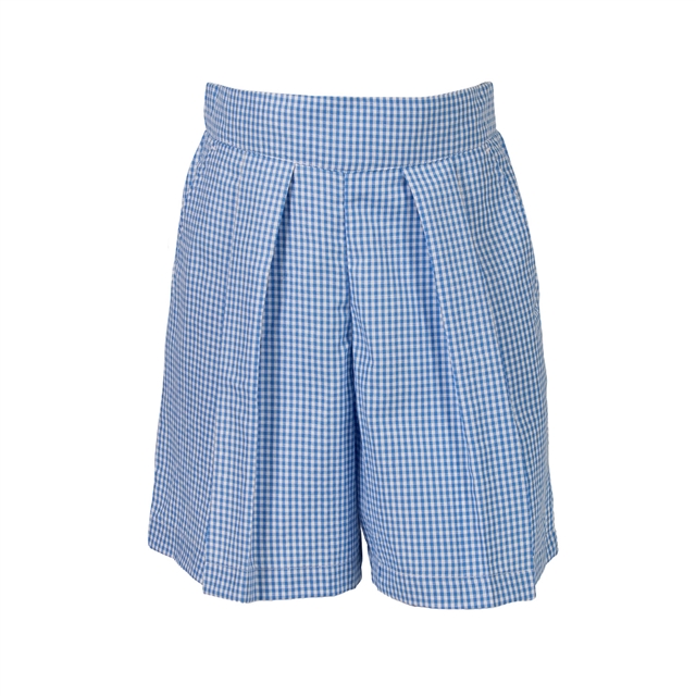 Gingham Elastic Waist Casual Shorts