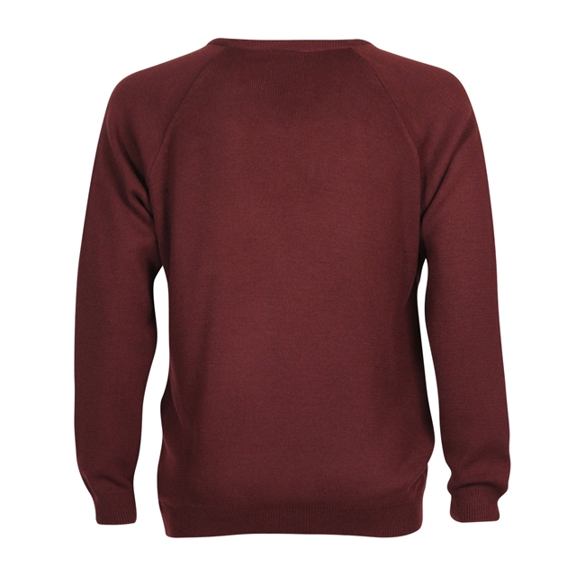 St Catherine's College V-Neck Jumper - Year 11