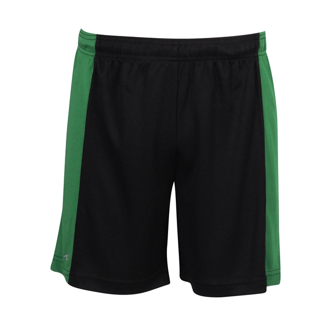 Great Torrington Academy Shorts