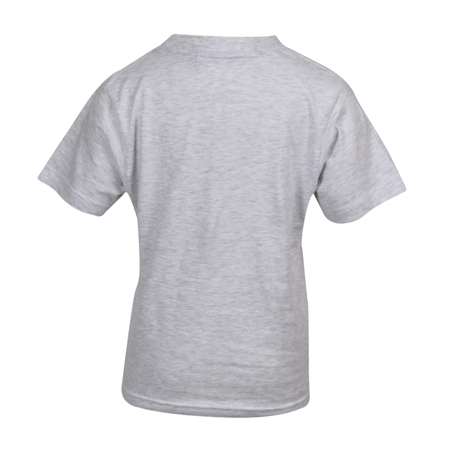 Grey Cotton T-Shirt