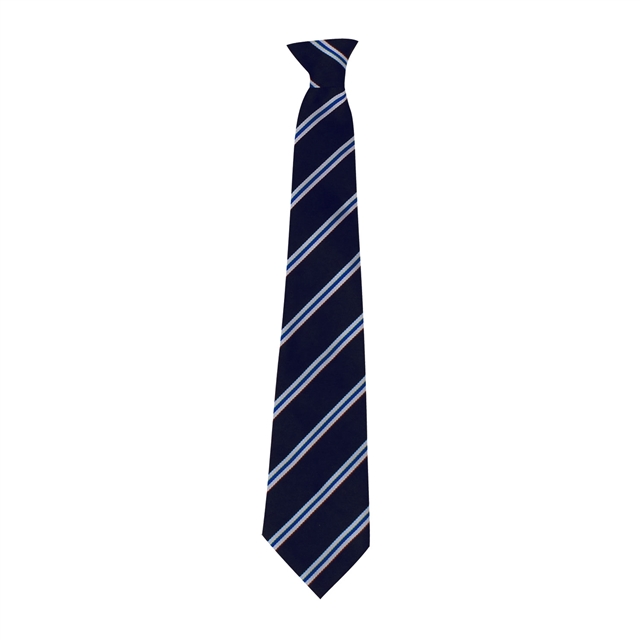 Bedale High School Nidd House Tie - Blue