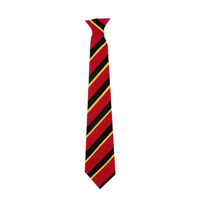 Alcester Grammar School Oak House Tie- Yellow