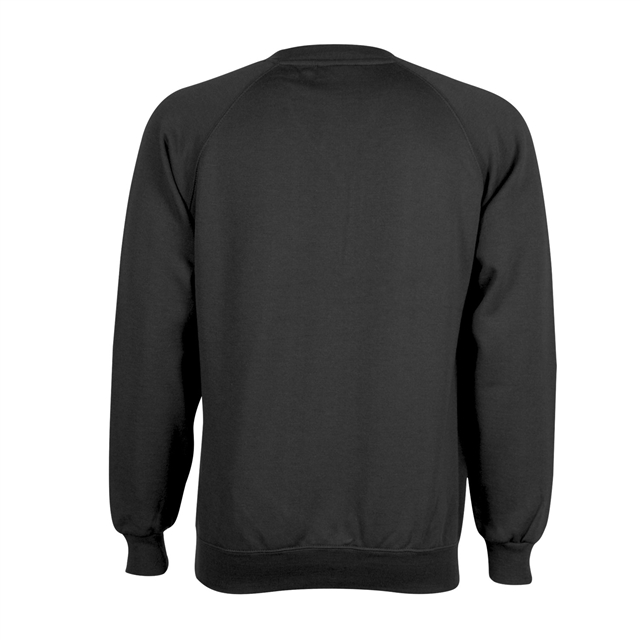School V-Neck Sweatshirt
