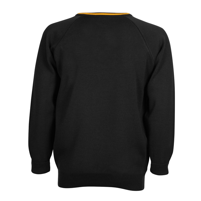 Milton Keynes Academy Knitted V-Neck Jumper with Stripe