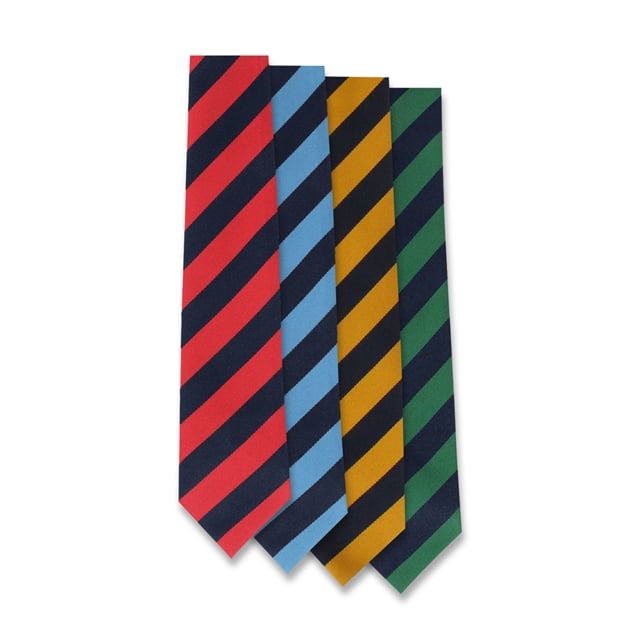 Dover Christ Church Academy House Ties