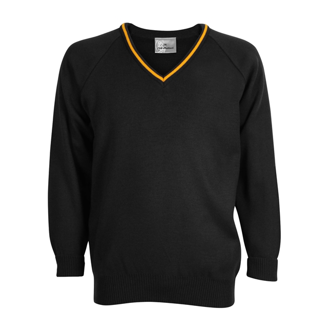 Milton Keynes Academy Knitted V-Neck Jumper with Stripe