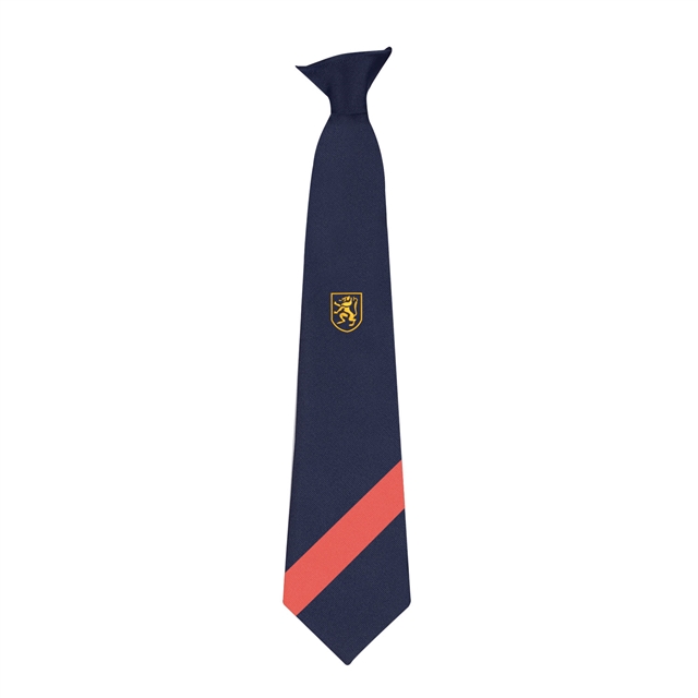 Rainhill High School Braithwaite House Tie - Orange