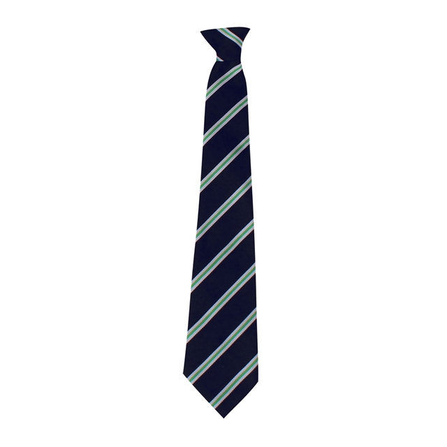 Bedale High School Derwent House Tie  - Green