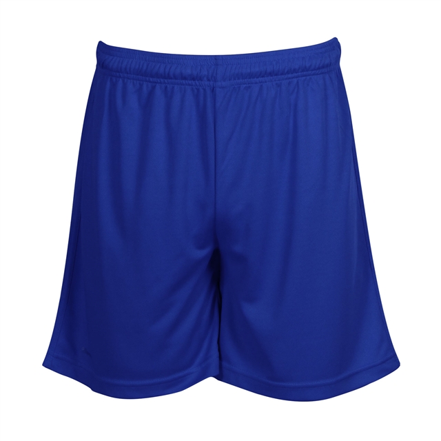 The Clere School Mesh PE Shorts