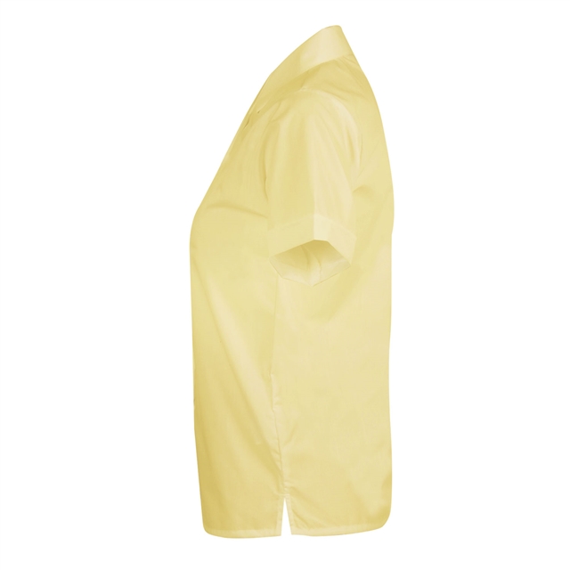 Anglo European School Yellow Short Sleeve Revere Blouse - 2 PK