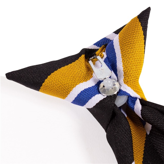 Heritage High School Westwood House Tie - Blue