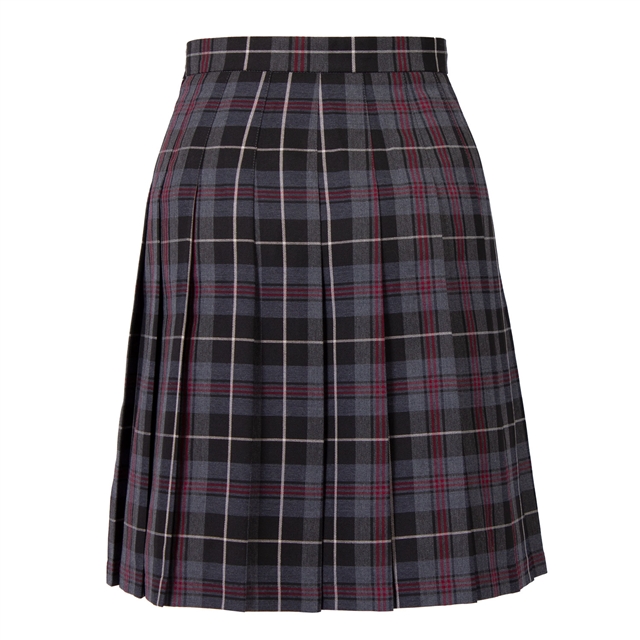 Hethersett Academy Tartan Knife Pleat Skirt