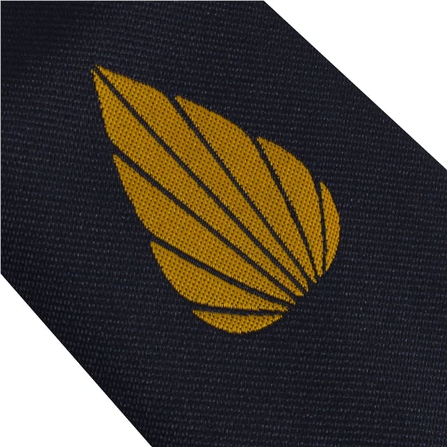 Michaela Community School Tie