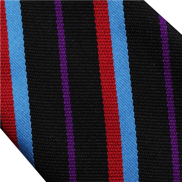 Dyke House College Purple Tie