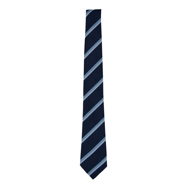 Wreake Valley Academy Striped Tie