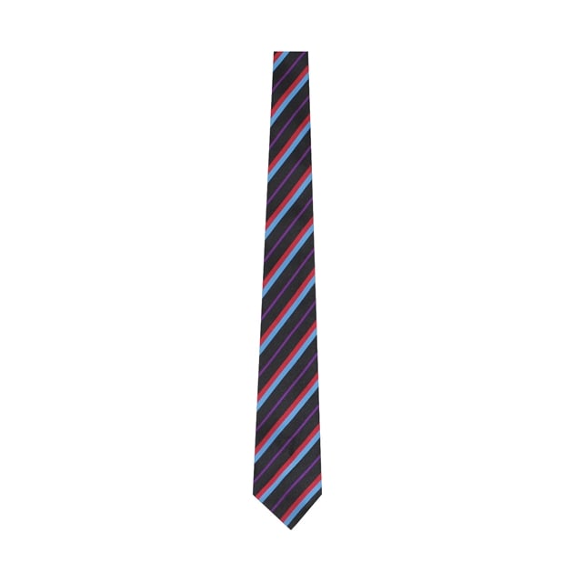 Dyke House College Purple Tie