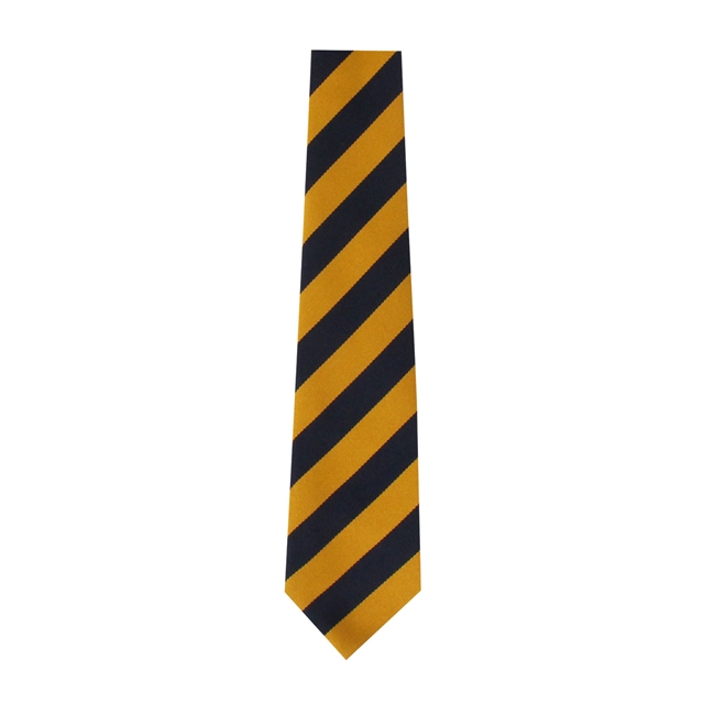 Dover Christ Church Academy House Ties