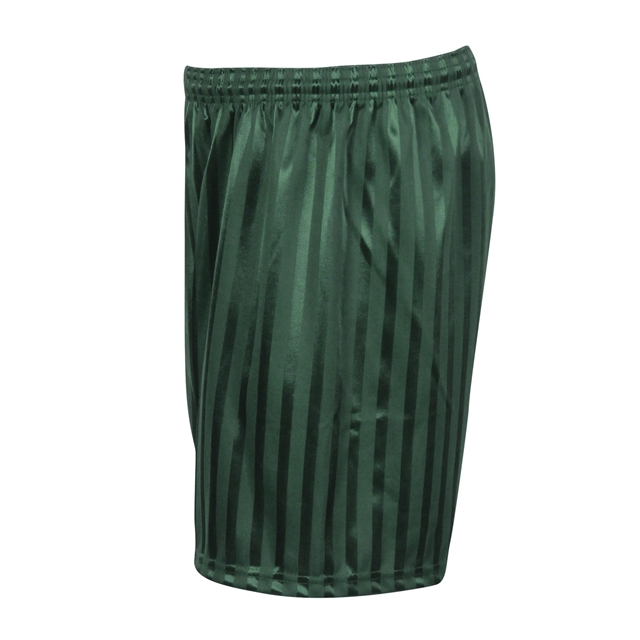Bottle Green Shadow Stripe PE Shorts