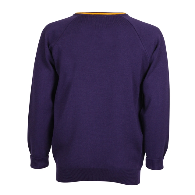 Oxford Spires Academy V-Neck Jumper - Bannister (Blue) - Yrs 10 & 11 Sept 2026