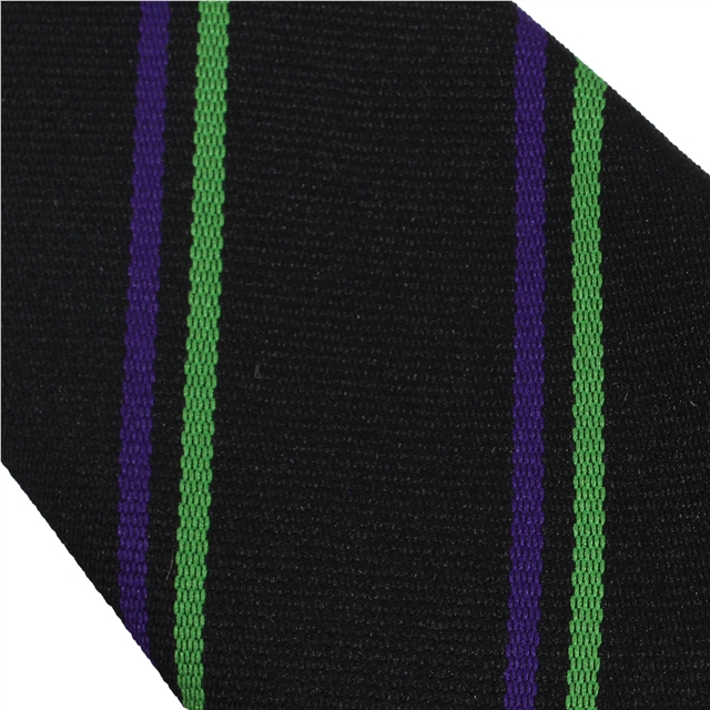 GTS Academy House Tie - Resolution - Purple/Emerald