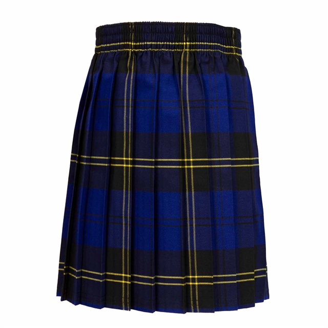 Charles Darwin Primary & Nursery School Tartan Skirt