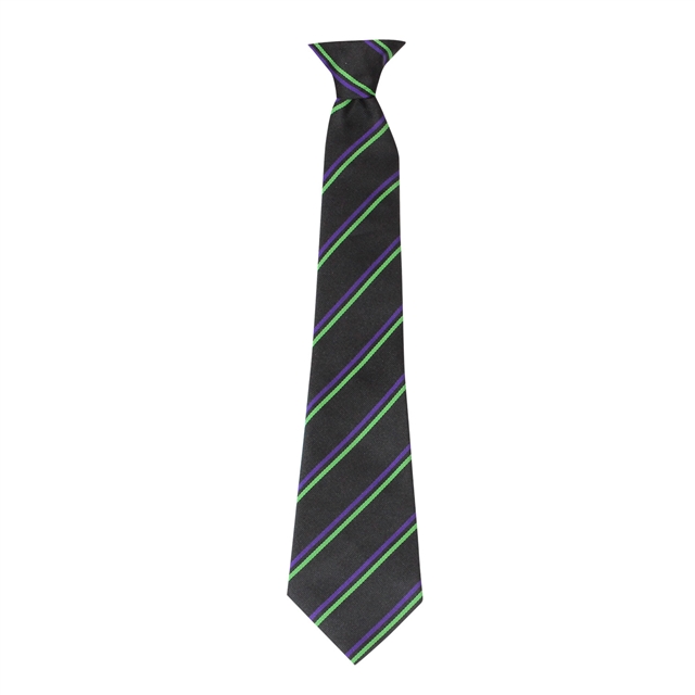 GTS Academy House Tie - Resolution - Purple/Emerald