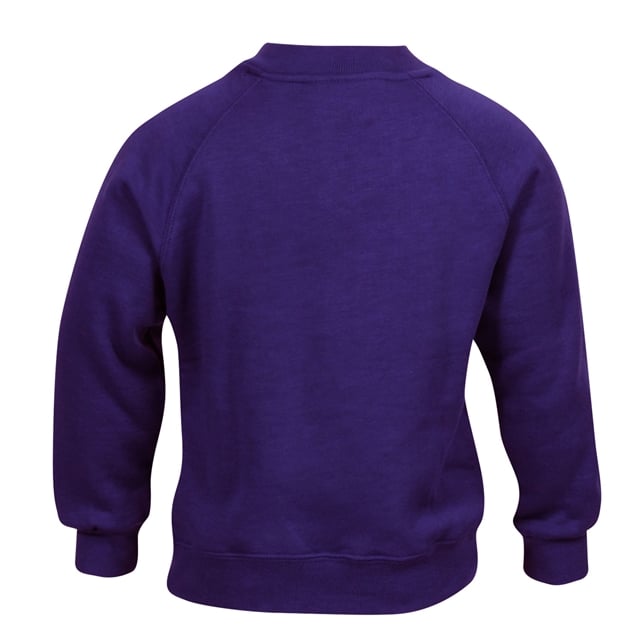 Purple V-Neck Sweatshirt