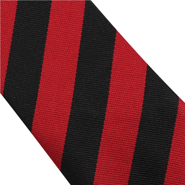 Ely College Scott House Tie