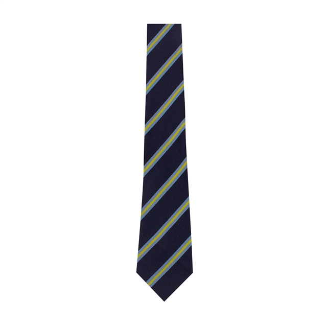 Bruntcliffe Academy House Tie - Holmes (Gold)