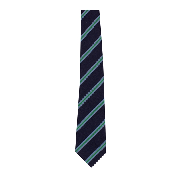Bruntcliffe Academy House Tie - Whiley (Green)