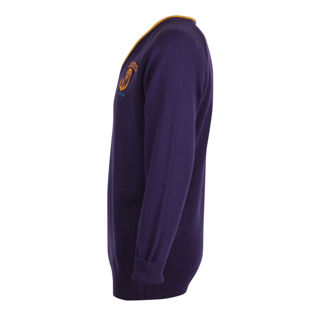 Oxford Spires Academy V-Neck Jumper - Bannister (Blue) - Yrs 10 & 11 Sept 2026