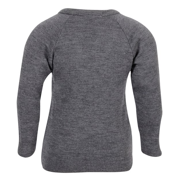 Grey V-Neck School Jumper