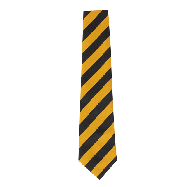 Ely College Etheldreda House Tie