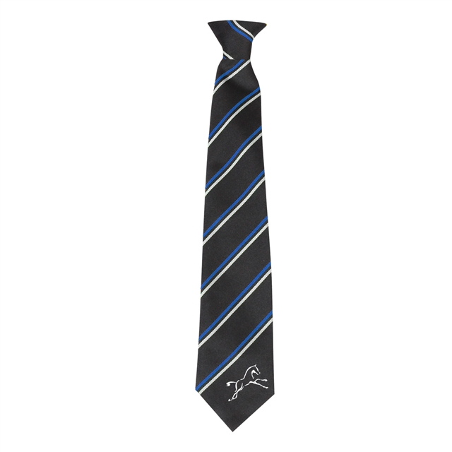 Ridgeway Tie - ROYAL