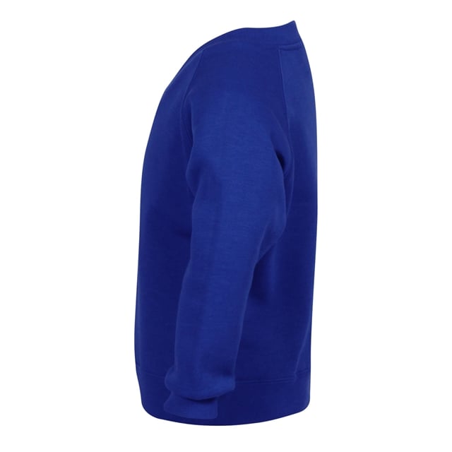 Regal Royal V-Neck School Sweatshirt