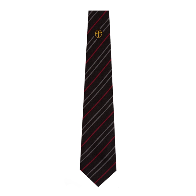 St Catherine's College House Tie - Endeavour (Gold)