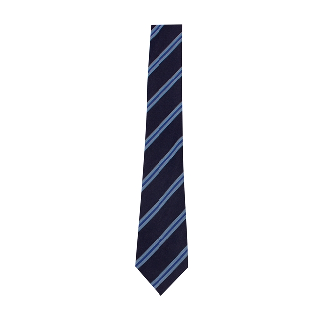 Bruntcliffe Academy House Tie - Simmonds (Blue)