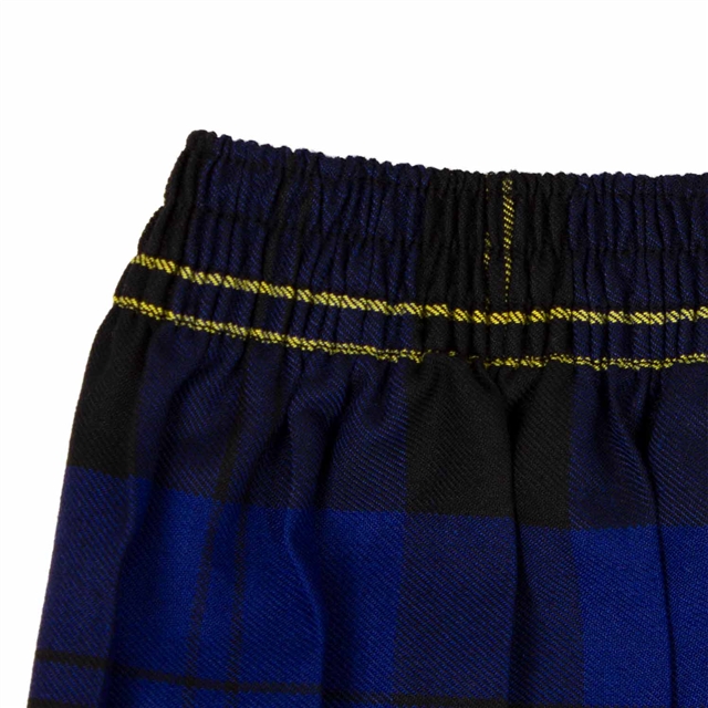 Charles Darwin Primary & Nursery School Tartan Skirt