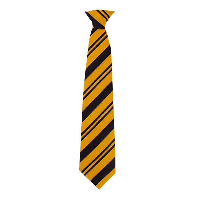 Chipping Norton School Main Tie 