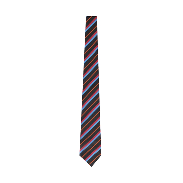 Dyke House College Orange Tie