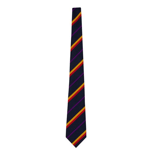 Joyce Frankland Academy House Tie - Morden (Purple)
