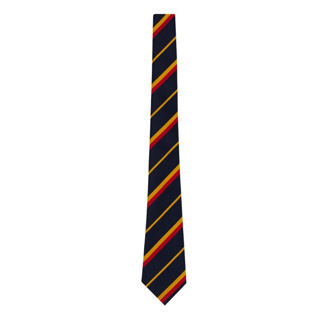 Joyce Frankland Academy House Tie - Saxie (Gold)
