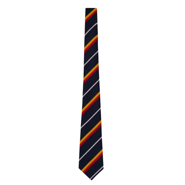 Joyce Frankland Academy House Tie - Caius (Silver)